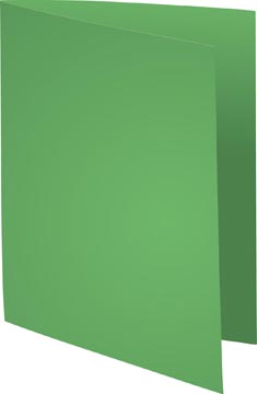 P.100 dossiermap forever 170gr a4  lichtgroen exacompta