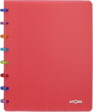 Cahier tutti frutti a5 144 pages commercial quadrillé rouge transparent tatoma