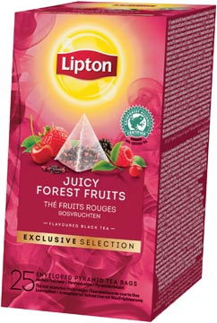 D.25 theezakjes bosvruchten exclusive selection lipton