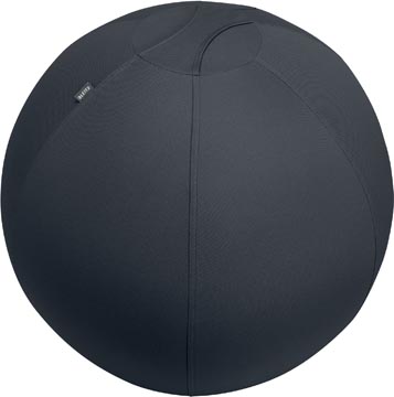 Leitz Ergo ballon d'assise active, système anti-roulement, 75 cm, gris