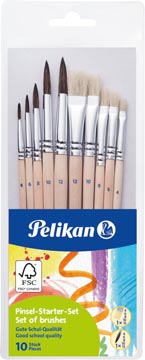 Set 10 penselen assorti pelikan