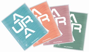 Cursusblok geruit q10 75 vel 70gr 165x210 mm aurora
