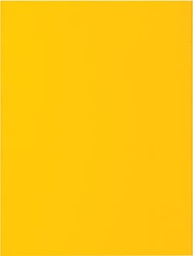 B.100 chemises bahia 80gr        jaune