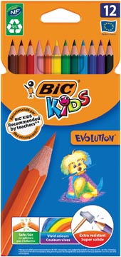 D.12 kleurpotloden colutions evolution bic