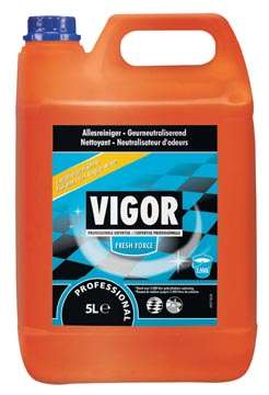 B.5l detergent fresh force vigor