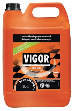 B.5l detergent original vigor