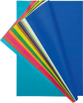 P.26 feuilles papier de soie 50 x 70 cm assorties folia