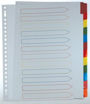 Set gidsen karton met indexblad 12 gekleurde tabs a4