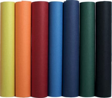 Exacompta papier d'emballage couleurs assorties vifs
