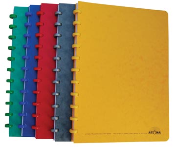 Patroonschrift karton geruit q5 50 vel 90gr a4 assorti atoma