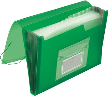 Organisateur frontal avec fermeture élastique 13 compartiments transparent vert q-connect
