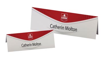 AVERY Cartes de nom imprimables 20 feuilles, 40 pièces (ft 180 x 60 mm)