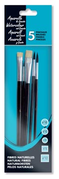 Waterverfpenseel, set van 5