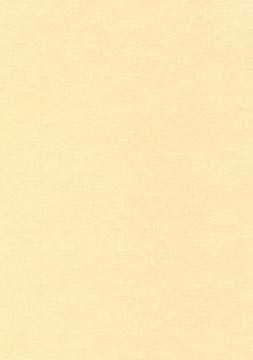 50 f a4 165gr theme champagne