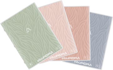 Cahier coupe splendid 60f 1l