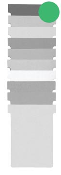 P.100 t-fiches valrex index 1,5 formaat: 53 x 45 mm groen nobo