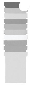 Etui 100 planbordfiches valrex index 2 format: 85 x 60 mm wit nobo