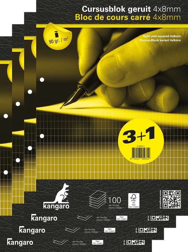 P.3 + 1 gratuit bloc de cours quadrile carré 4x8mm 90gr 100f a4 kangaro