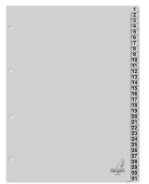 Tabblad pp 1- 31 grijs a4