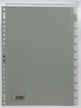 Tabblad pp 12 verwisselbare tabs grijs a4