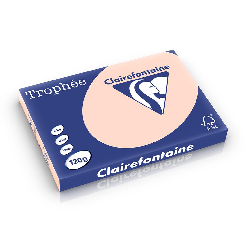 250 bl a3 120gr zalm  clairefontaine - 1309