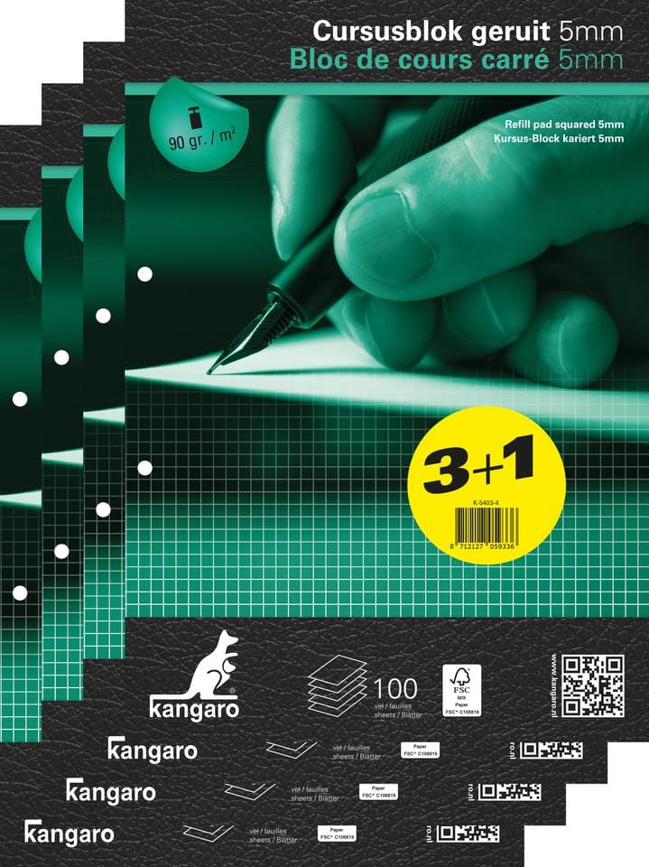 P.3 + 1 gratuit bloc de cours quadrile 90gr 100f a4 kangaro