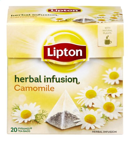 D.20 theezakjes camille lipton
