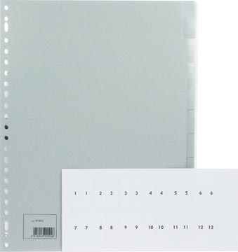 Tabblad pp 10 verwisselbare tabs grijs a4