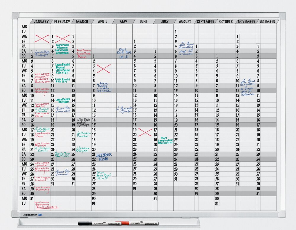 Jaarplanner professional 365 dagen 90 x 120 cm legamaster